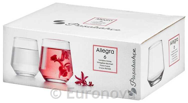 Kozarec Allegra za žganje / 12cl / 6 kos