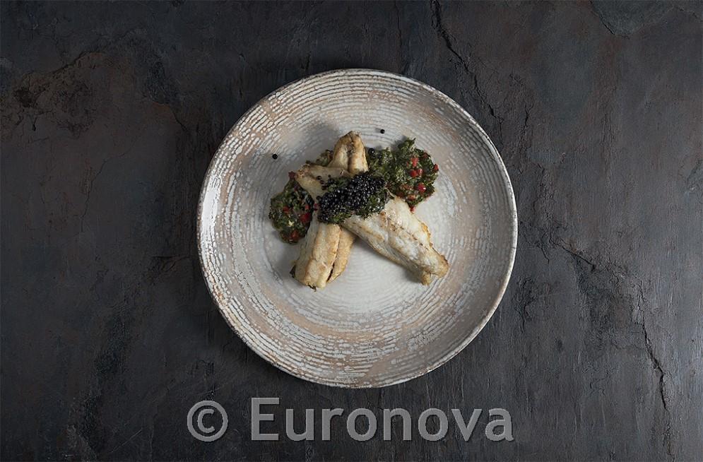Patera plitki krožnik Gourmet / 19cm / 12kos