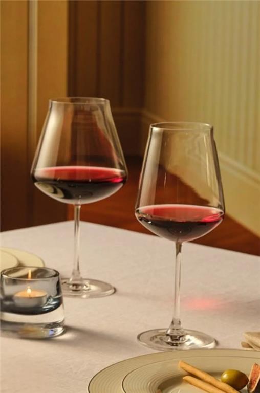 Kristalni kozarec za vino Salute, NUDE