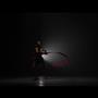 Kozarec Exaltation / 55cl / 6 kos Kozarec Exaltation / 55cl / 6 kos